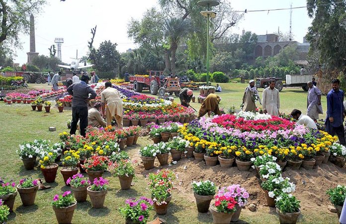 PHA staffers preparing different flower stalls to organize Jashan-e-Baharan at Qasim Bagh Park