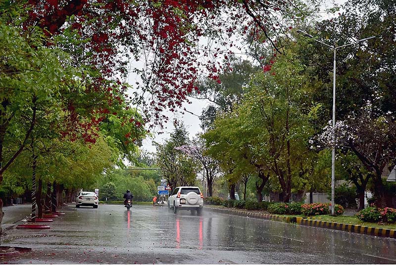 A beautiful view of greenery during heavy rain