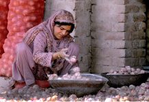 A lady laborer sorting out good quality onions at Vegetable Market