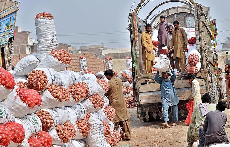 Laborers busy in unloading sacks of onion from a delivery truck at vegetable market