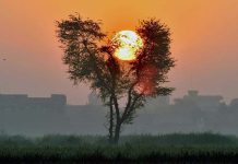 An attractive view of the sunrise in the city
