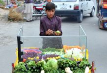 A young vendor cutting green salad to sell on his hand cart setup at roadside
