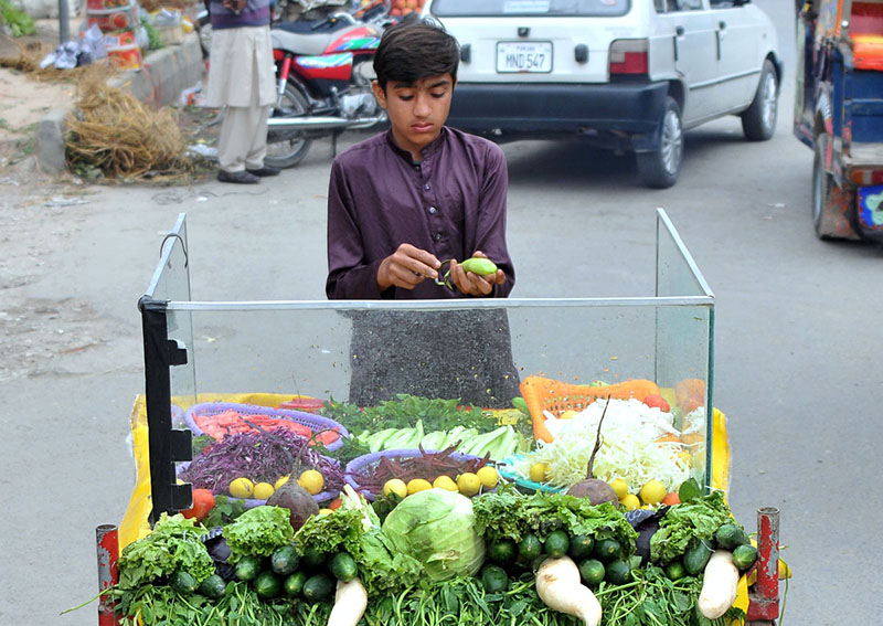 A young vendor cutting green salad to sell on his hand cart setup at roadside