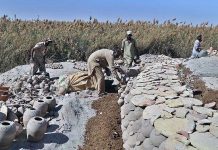 Workers arranging clay made items for drying purpose at their workplace at Kumharpara