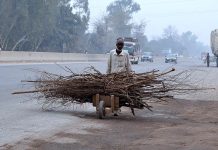 An old man carrying firewood on a handcart near GT Road for domestic use