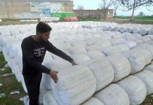 A worker arranging sacks of animal fodder at Lahore road