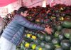 A vendor displays watermelon to attract the customers for sell oh his roadside setup at Sirki Road Quetta