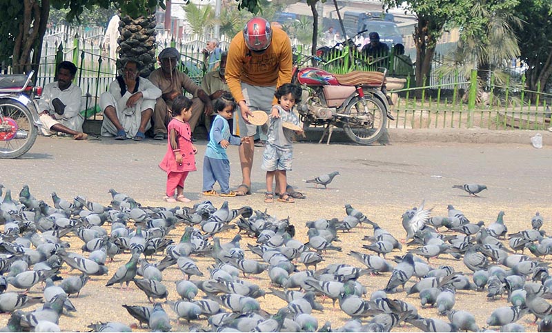 Children feeding the flock of pigeons at a roadside