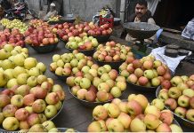 A vendor waiting for customers to sell Apples on his hand cart at fruit and vegetable market