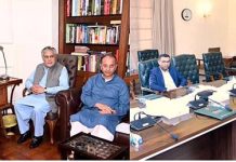 Prime Minister Muhammad Shehbaz Sharif chairs a meeting on relief package on Petroleum Products