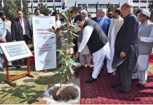 Chairman Senate, Muhammad Sadiq Sanjrani planting a sapling Magnolia’s Tree on The Golden Jubilee celebrations of the Senate of Pakistan at Parliament House
