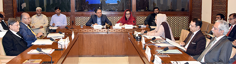 Senator Saleem Mandviwalla, Chairman Senate Standing Committee on Finance and Revenue presiding over a meeting of the committee at Parliament House