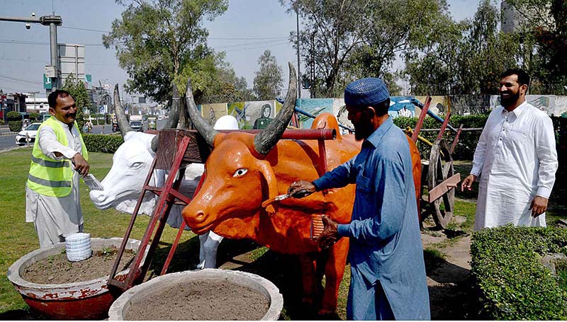 PHA staff worker painting on the cow model in the green belt at Wahdat Road
