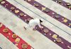 A volunteer busy in arranging iftar food during Holy month of Ramzan at Jamia Muhammadi Masjid near Sheikh Zayed Chowk
