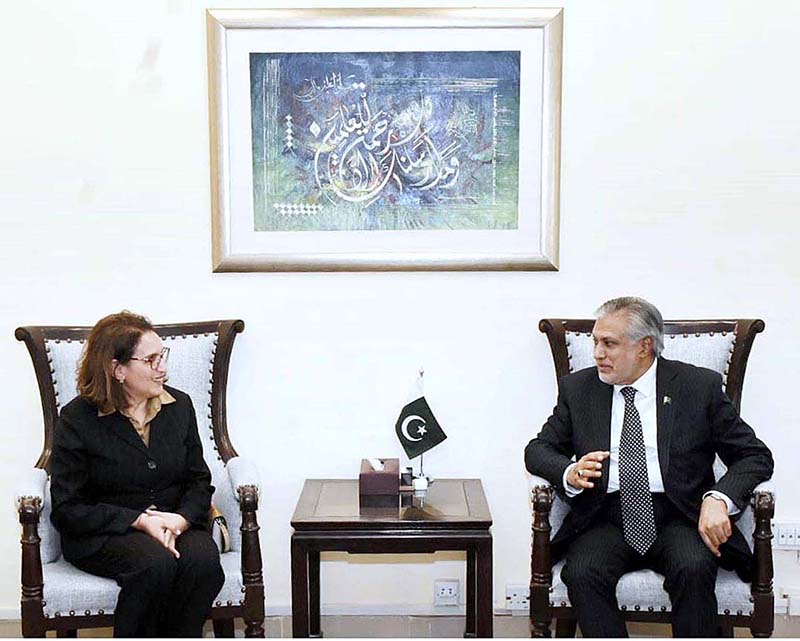 Ms. Asmaa Resmouki, President International Federation of Accountants (IFAC) called on Federal Minister for Finance and Revenue, Senator Mohammad Ishaq Dar at Finance Division