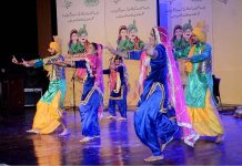 Artist are performing on stage during Culture day