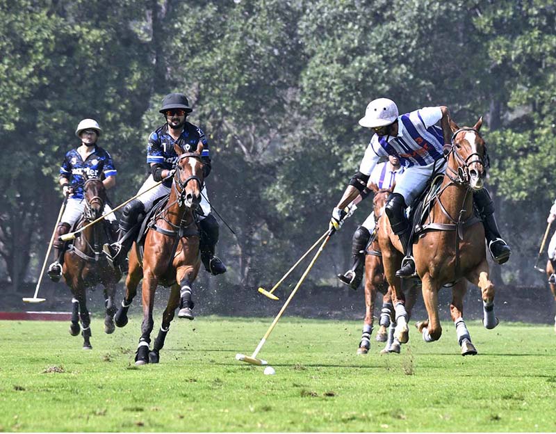 Polo exhibition match ends in draw