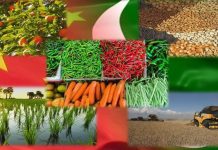 China's Two Sessions offer inspiration for Pakistan's agricultural development