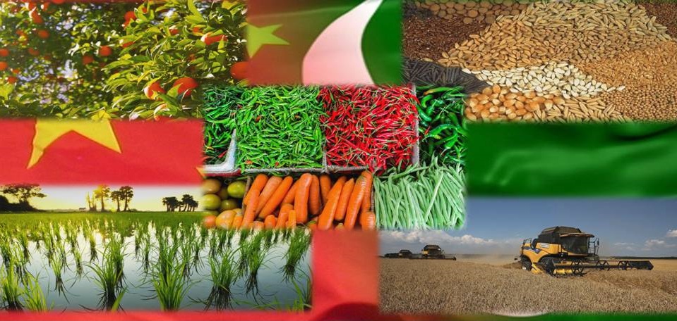 China's Two Sessions offer inspiration for Pakistan's agricultural development