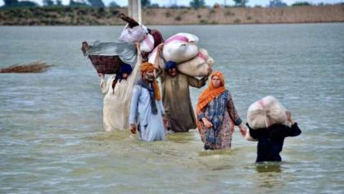 UN’s FAO, GOP sign $5 million funding agreement for flood victims UN’s FAO, GOP sign $5 million funding agreement for flood victims