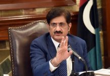 Senate should empower provinces to plead their case at Upper House: Murad Shah