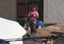 More than 850,000 Syrian, Turkish children displaced by deadly quakes
