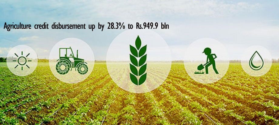 Agriculture credit disbursement up by 28.3% in 7 months