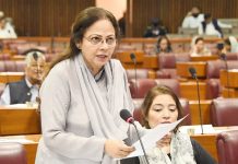Per capita public debt stood at Rs 216,709 by June 2022: NA told