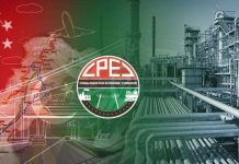 China Media Group organizes seminar on CPEC construction, Chinese-style modernization