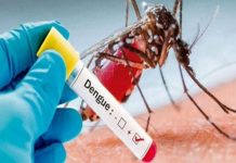 Federal hospitals asked to ensure dengue special measures