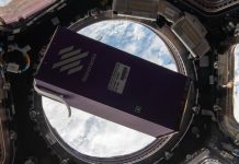 'Cosmic crops' poised for harvest on Earth: UN agencies