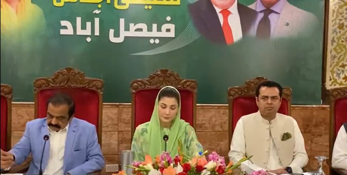 All PML-N wings to be reorganised, promises Maryam