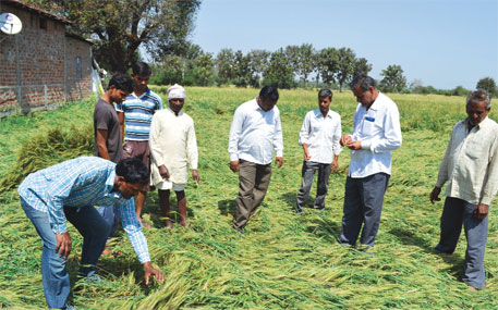 Farmers urge govt to waive off loans as hailstorm affects crops