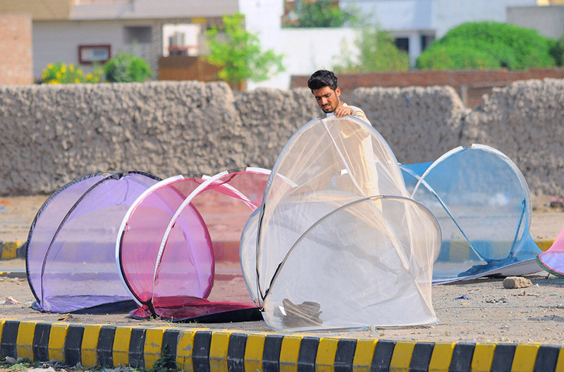 A vendor is displaying mosquito nets to attract the customer at his roadside setup