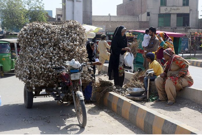 An old woman displaying and selling Garlic during holy month of Ramazan at Gaddafi Chowk