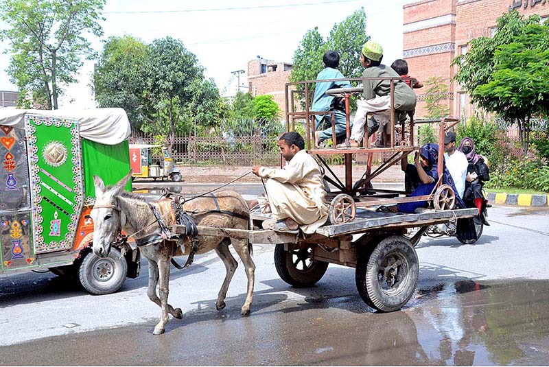 Children enjoying on the swing while loaded on Donkey cart