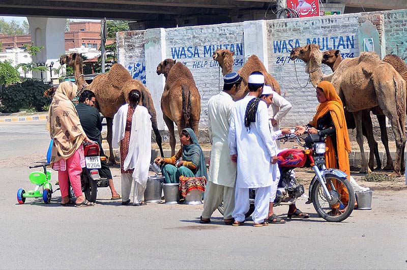 Nomad women busy in selling camel milk at a roadside