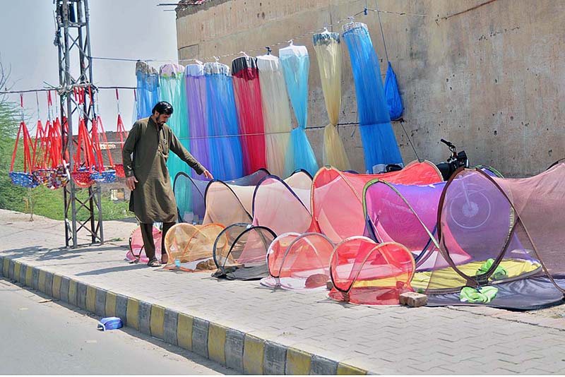 Vendor is busy in arranging and displaying mosquito nets to attract customers at his roadside setup