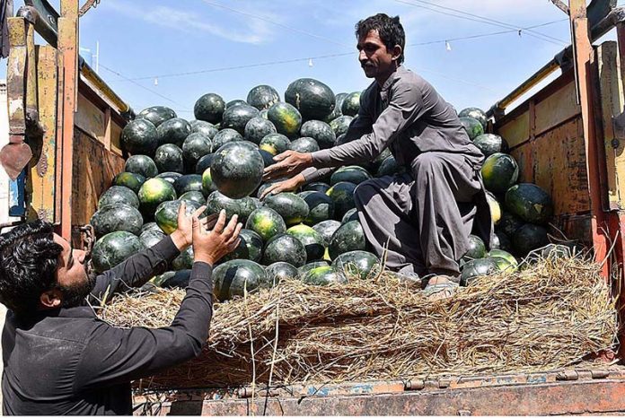 Vendors unloading watermelons from delivery truck at Fruit Market