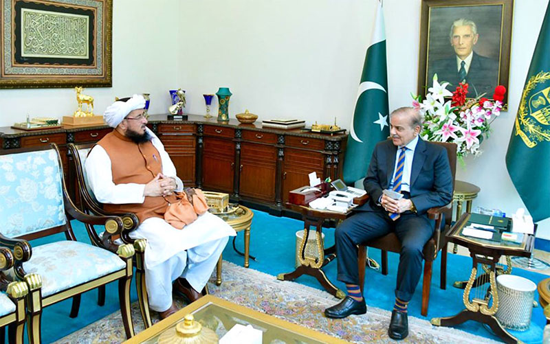 MNA Salahuddin Ayubi calls on Prime Minister Muhammad Shehbaz Sharif