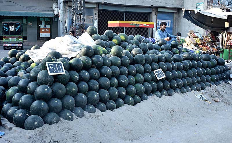 A vender displaying and selling fresh water melons along roadside in Provincial Capital City