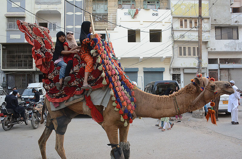 Children enjoy camel ride before Iftar at Pakistan Chowk