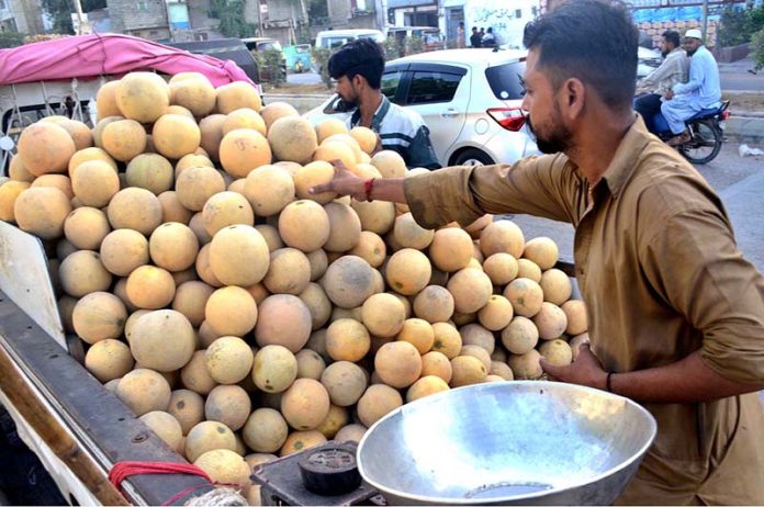 Vendor arranging Melon at his roadside setup during Ramazan ul Mubarak in the city
