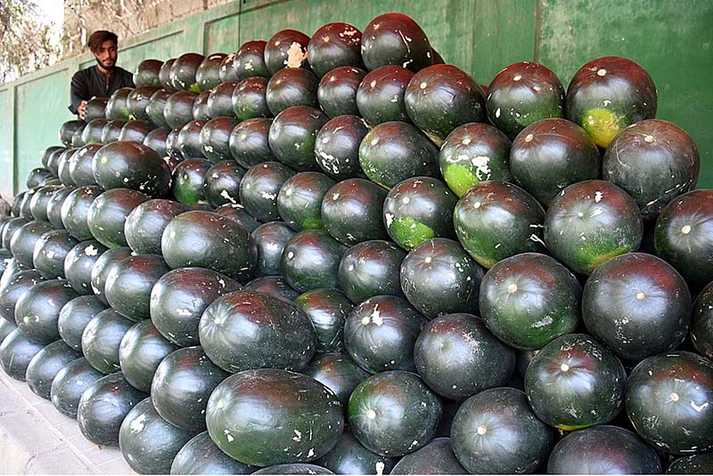 A vendor is selling watermelons at his roadside setup