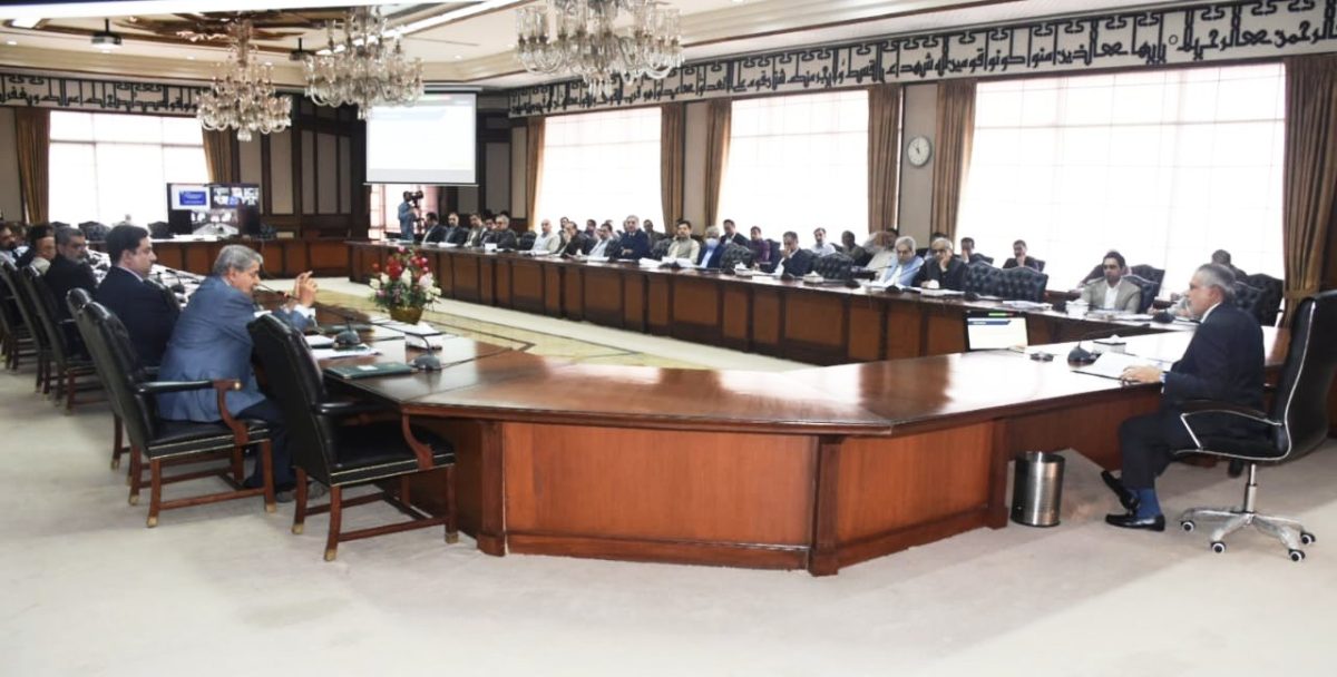 ECC okays E-Bikes & Rikckshaws loan facility under PMYB&ALS model