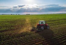 China, Pakistan to step up agriculture cooperation