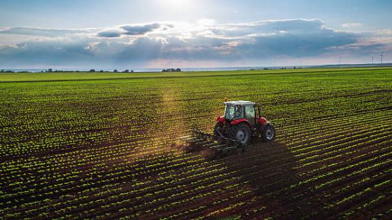 China, Pakistan to step up agriculture cooperation