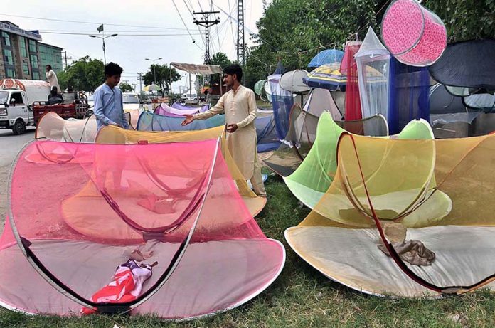 A person purchasing mosquito nets to be used (to protect children from mosquitoes bite) from roadside vendor in Federal Capital