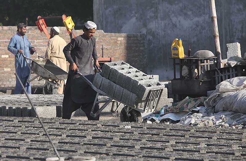 Laborers shifting blocks of cement at Rawat