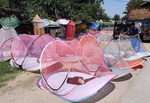 A vendor displaying mosquitoes to attract customers on his roadside setup at Taramri Chowk